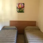 Hostels Euro Mediterraneo Hostel *
