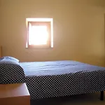Hostels Euro Mediterraneo Hostel *
